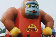 エア遊具　写真