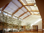 自動化も可能　陽光、風力を感知する便利なセンサー機能